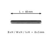 spie voor achteras 8x7x60mm