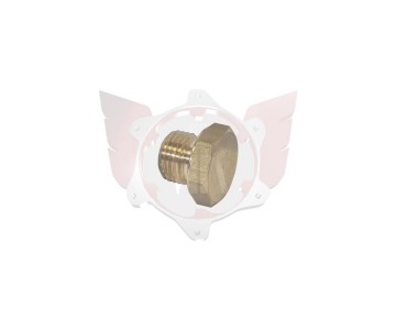 plug voor cilinderkop x30