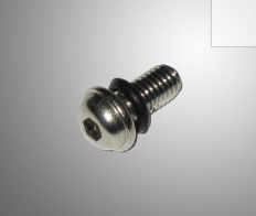 Set borgboutjes douglas voor velg 12 st