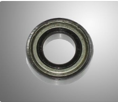 lager voor velg 6003ZZ