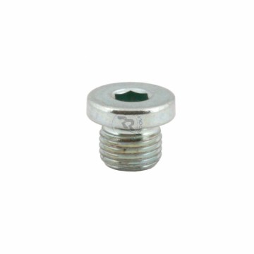 olievulplug m10x1mm voor rempomp