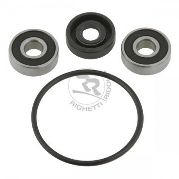 Revisieset voor Alluminium Waterpomp