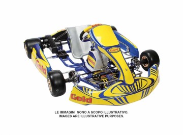 Goldkart GTR30 KZ met voorremmen (voetbediend)