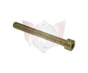 Inbusbout M8x75MM voor radiateurbevestiging