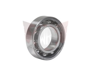 Skf6005tn9 c3