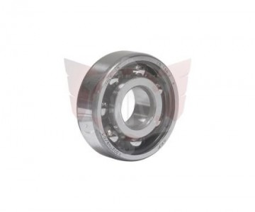 Skf6302tn9 c3 1